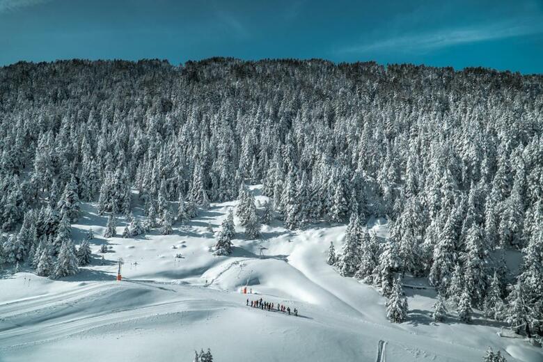 Apartaments La Neu