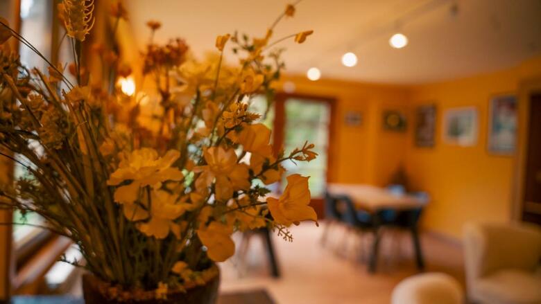Apartaments La Neu
