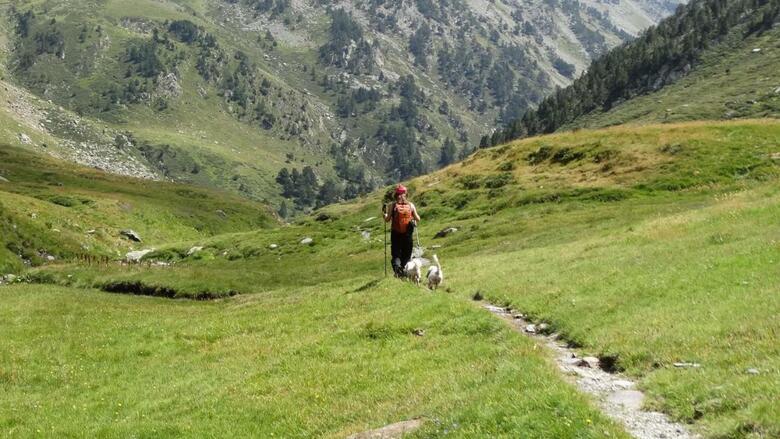 Apartaments La Neu