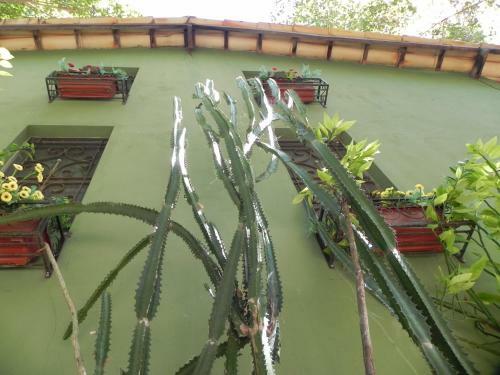 Hostal Pousada �den �guas Termais