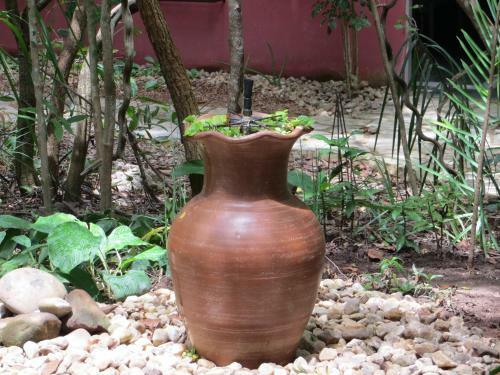 Hostal Pousada �den �guas Termais