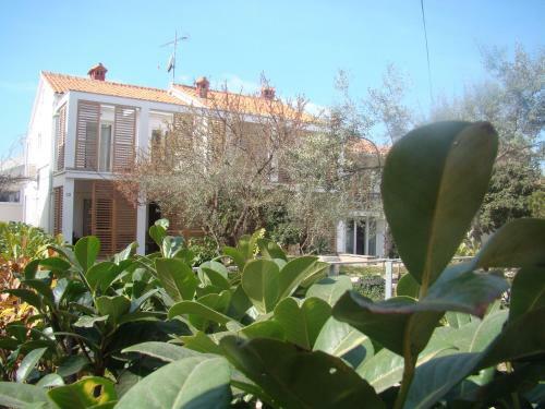 Apartamentos Villa Lipa