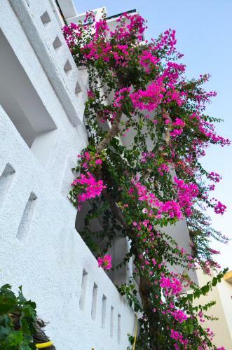 Apartamento Iro Hotel