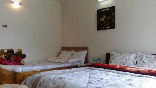 Irish Homestay