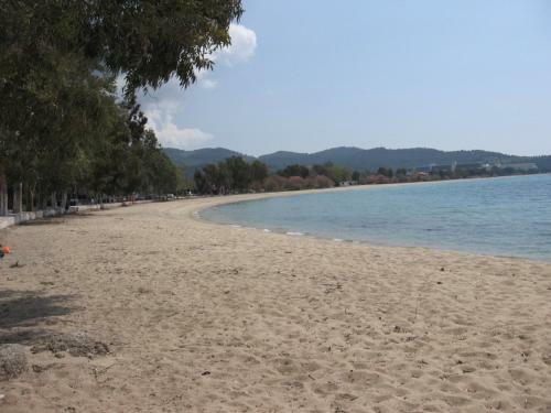 Hostal House Roula