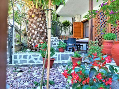 Apartamento Zefyros Studios