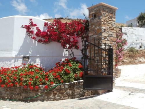 Apartamento Galini Bungalows