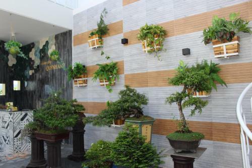 Hotel Homestay Quynh Anh