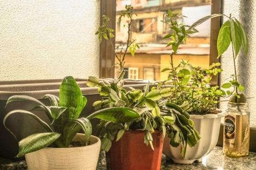 Hostal Dora Hostel
