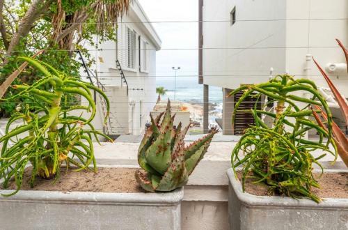 Apartamento Bantry Beach Luxury Suites