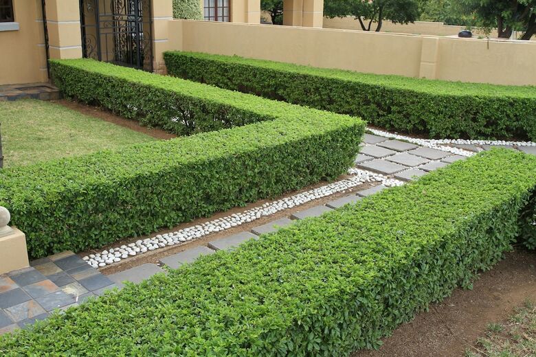 Bed & Breakfast La Villa Rosa