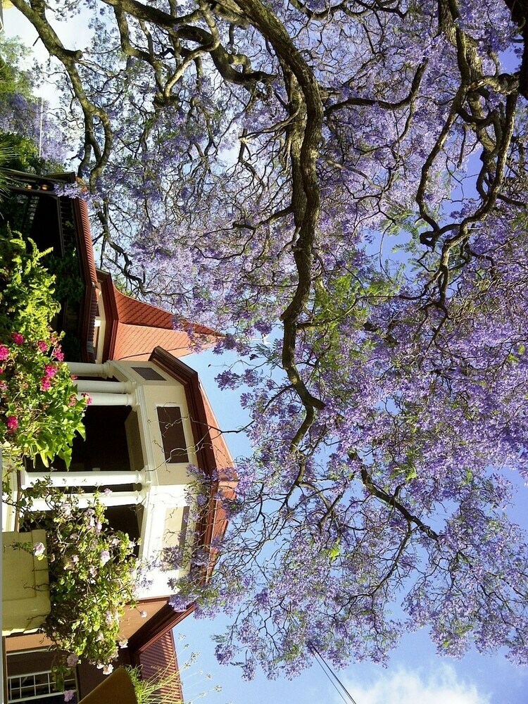 Hostal Melvin Residence Guest House