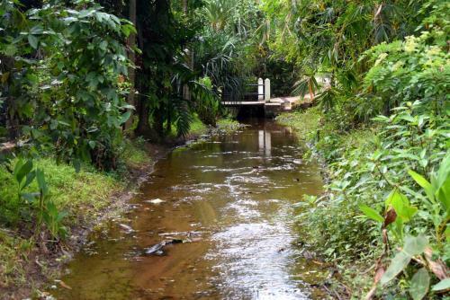 Hostal Villa Nature Park
