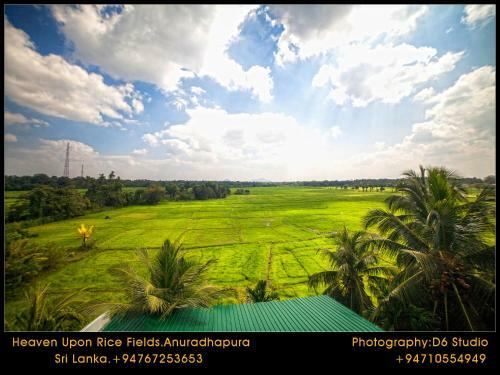 Bed & Breakfast Heaven Upon Rice Fields