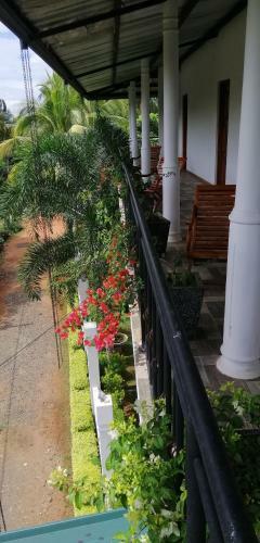 Rajarata Lodge