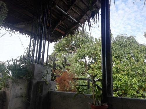 Bed & Breakfast Sacred City Tourist Resort