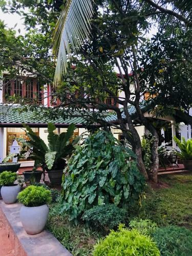 Hostal Pearl House Resort