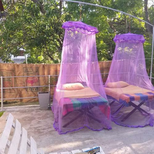 Fig And Gecko Hostel