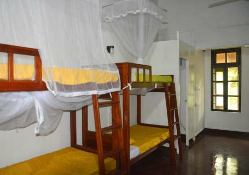Fig And Gecko Hostel