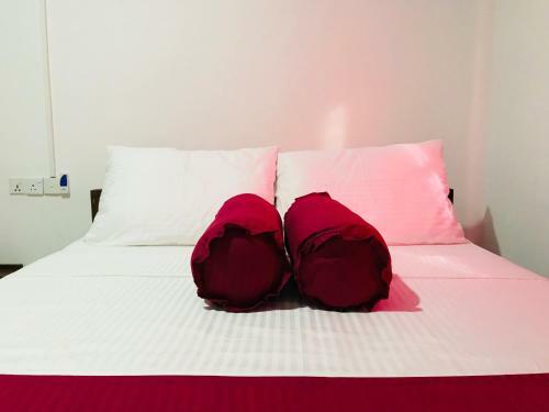 Hostal Swan Holiday Resort