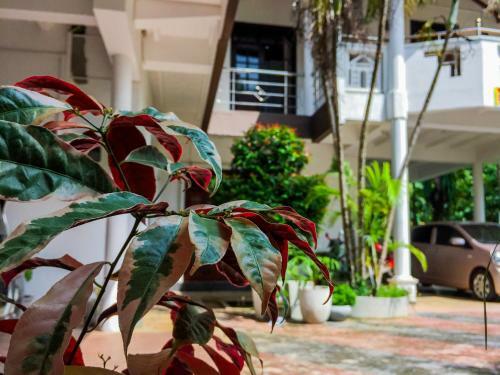 Myr-o Homestay