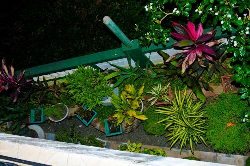 Myr-o Homestay