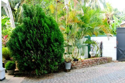 Myr-o Homestay