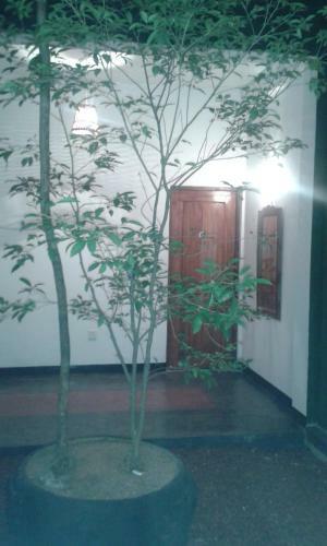 Hostal Milano Grand New Rest House