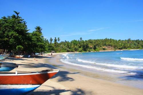 Albergue Tamarind Moon