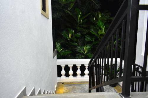 Albergue Villa Star 16
