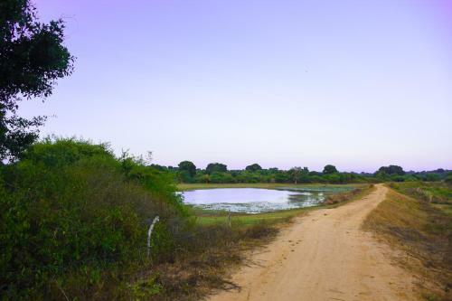 Bed & Breakfast Hide Yala