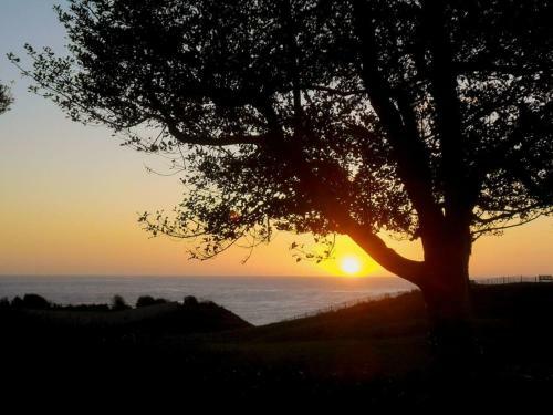 Seaview