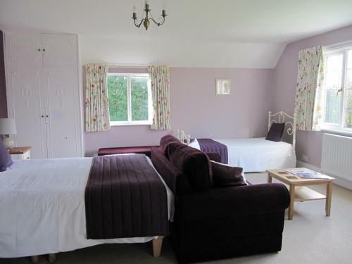 Hostal Little Forest Lodge