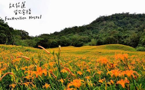 Fun Hualien Hostel