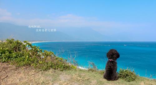 Fun Hualien Hostel