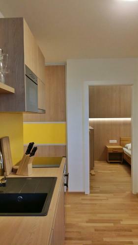Fastenberg Apartments - Ski In/ski Out