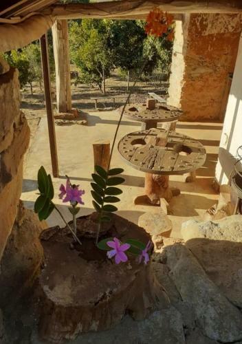 Agroturismo Pousada Fazenda Das Bicas