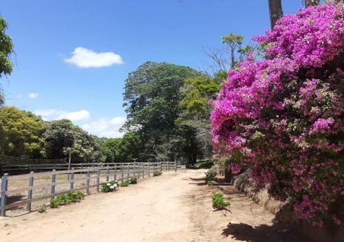 Agroturismo Pousada Fazenda Das Bicas