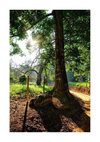 Agroturismo Pousada Fazenda Das Bicas