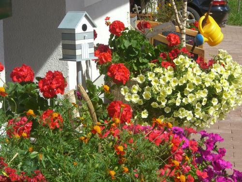 Bed & Breakfast Landhaus Servus