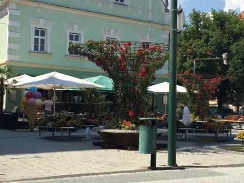 Hotel Braun