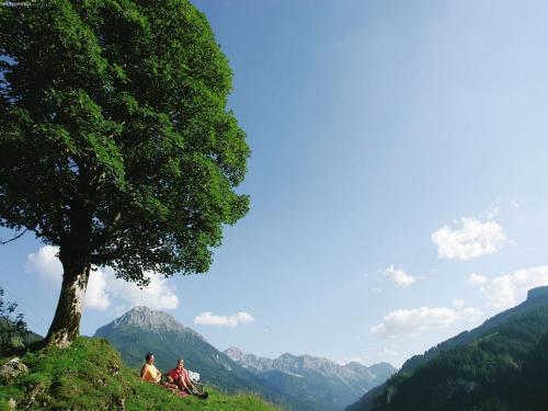 Apartamento Schernthaner