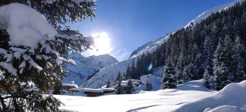Pure Resort Pitztal