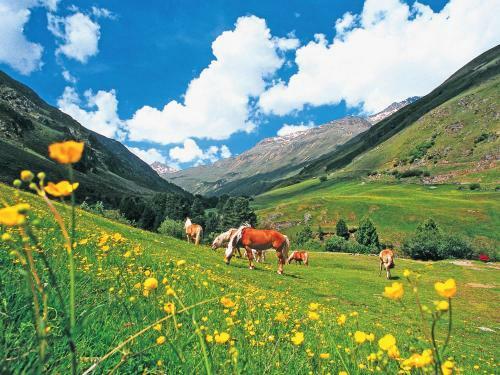 Chalet Huben S