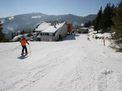 Alpenchalet Klippitzt�rl