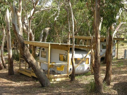 Bimbi Park - Camping Under Koalas