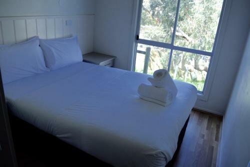 Bimbi Park - Camping Under Koalas