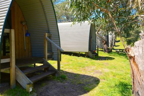 Bimbi Park - Camping Under Koalas