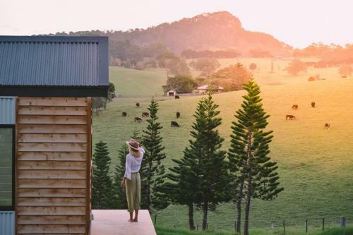 Lodge Tilba Lake Pods