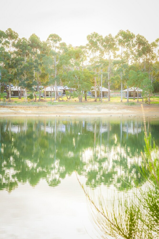Olio Bello Lakeside Glamping